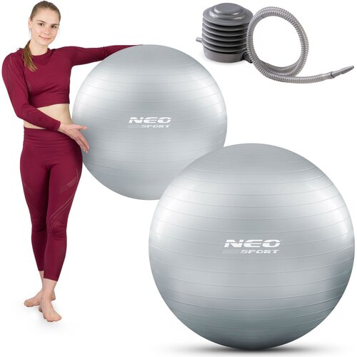 Neo-Sport 75 cm Silver Exercise Ball for Fitness and Rehabilitation - NS-952, (21740562) Cene