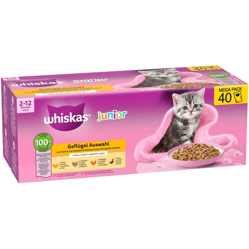 Whiskas Junior vrećice 40 x 85 g - Perad u želeu (4 vrste) Slike