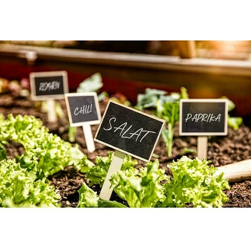 GARDOL Vrtne plošče za označevanje rastlin (10 kos)