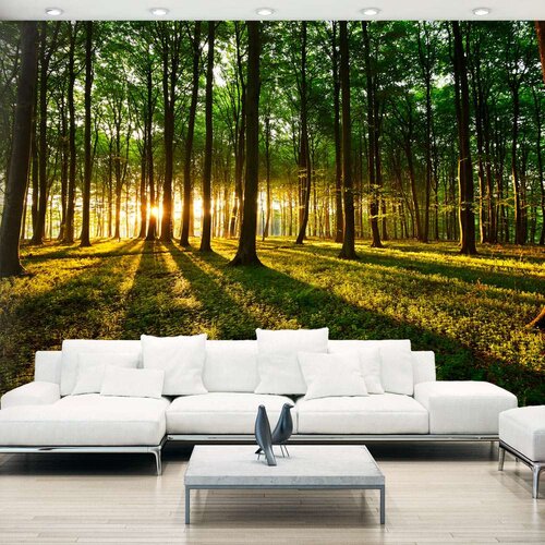 Tapeta - Mystical Morning 400x280 Cijene