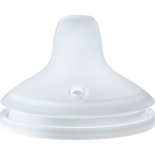 Nuk Perfect Match Spare Spout zamjenski usnik 6m+ 2 kom Cijene