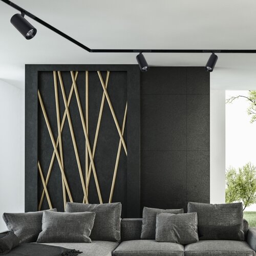  LED spot za &amp;scaron;inski sistem MAGNETIC TRACK LED/10W/48V crna Slike