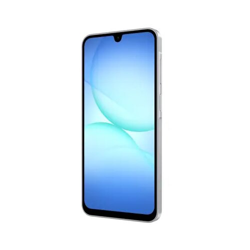 Samsung Galaxy A17 4GB/128GB Gray Slike