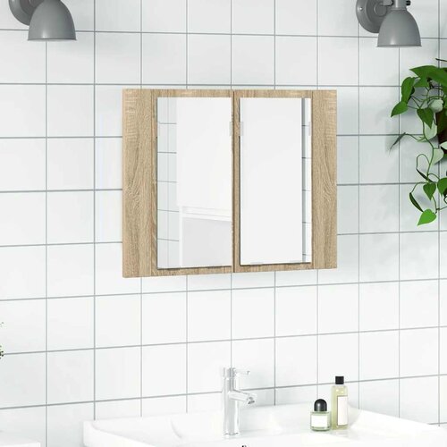  LED kupaonski ormarić s ogledalom boja hrasta 60x12x45 akrilni Cijene