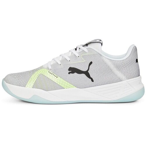 Puma Nizke superge Accelerate Turbo Nitro Ii Siva Cene