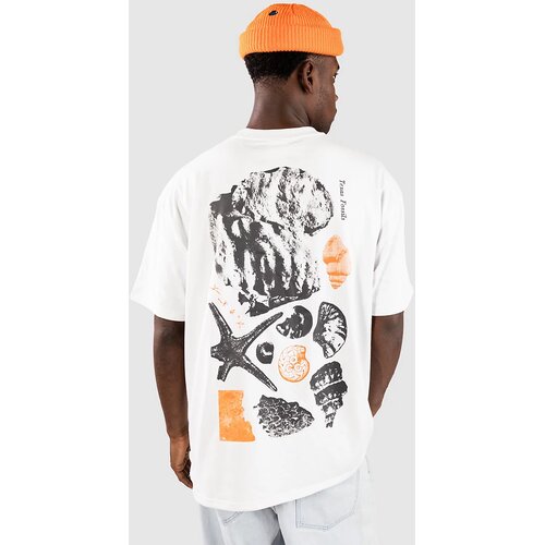 Nike ACG ACG Oc Fossils T-shirt summit white Cene