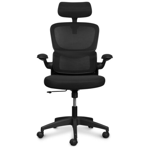 Connect IT COC-2500-BK - Kancelarijska stolica ForHealth DeltaPro crna Slike