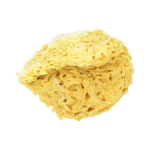Koutouzis Natural Sea Sponges Prirodna spužva &amp;quot;Honeycomb&amp;quot; - L Slike