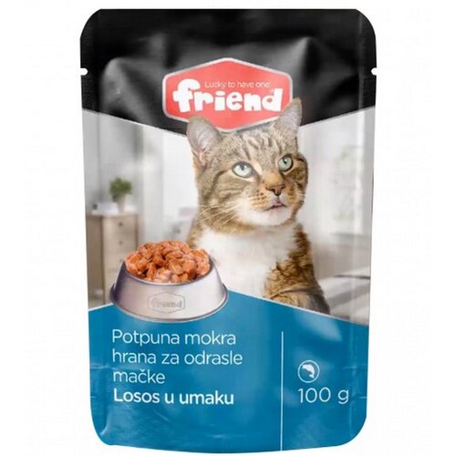 Friend Hrana za mačke vrećica losos u umaku 100g Cijene