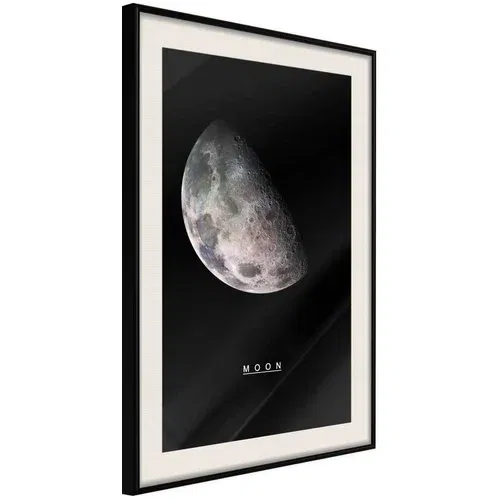 Poster - The Solar System: Moon 20x30