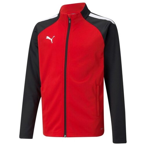 Puma Teamliga Poly sarena Cijene