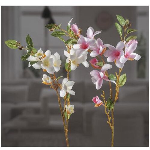 MAGNOLIJA 92CM 58502 Cijene