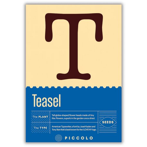 Piccolo Seeds T - Teasel - divja ščetica - 1 pkt. Cene