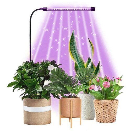Lampa ZA BILJKE Jednostruka R+B 4W USB PROSTO Cene