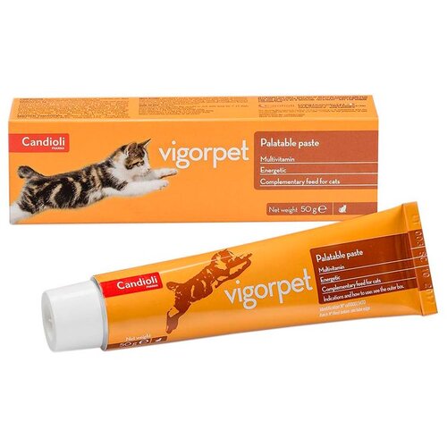 Candioli Pharma Candioli Vigorpet, dodatak ishrani za mačke 50g Cene