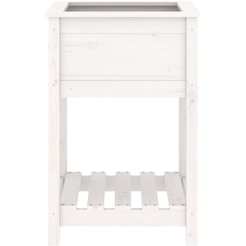 Sadilica s policom bijela 54x54x81 cm od masivne borovine Slike