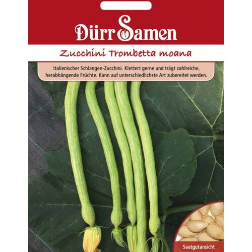  Bučke "Trombetta moana" - 8 zrn. Cene