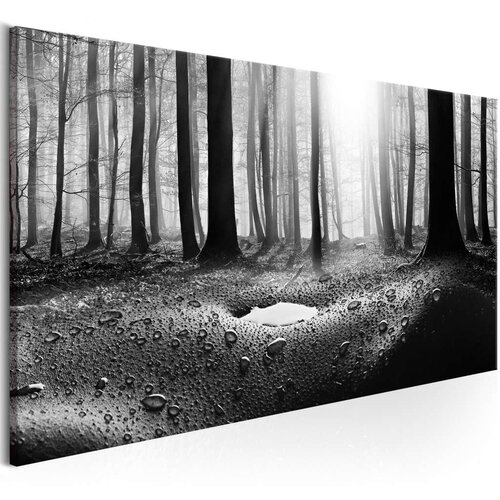  Slika - Forest after Rain (1 Part) Narrow 135x45 Slike