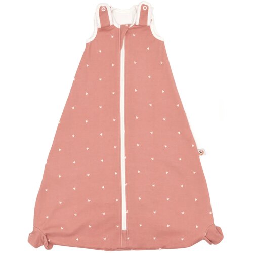Ergobaby vreća za spavanje s nogavicama Rose Hearts (18-36 L) TOG 0,5 Cijene