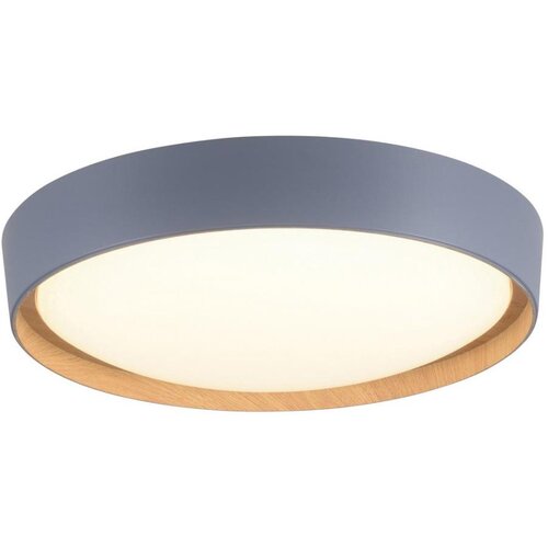 LEUCHTEN DIREKT 14347-15-LED Prigu&scaron;iva stropna svetiljka EMILIA 28,8W/230V siva Cene