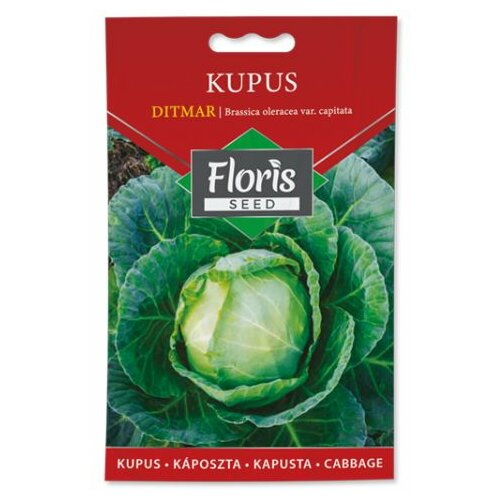 Floris seme povrće-kupus ditmar 1g FL Slike