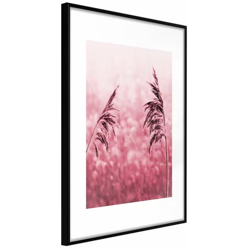  Poster - Amaranth Meadow 20x30