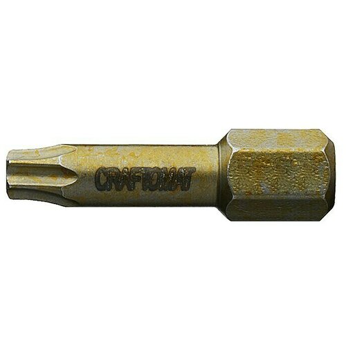 CRAFTOMAT Bit nastavak Wood (TX 10, 25 mm, 2 -dij.) Slike
