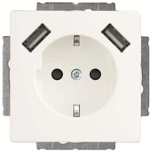 Busch-Jaeger SCHUKO-2x vtičnica USB 20 EUCB2USB-884, (21041243) Cene