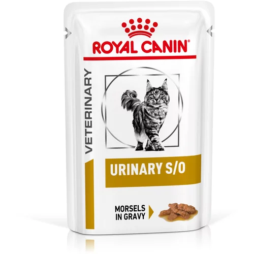 Royal Canin Veterinary Feline Urinary S/O - 12 x 85 g (komadići u umaku)