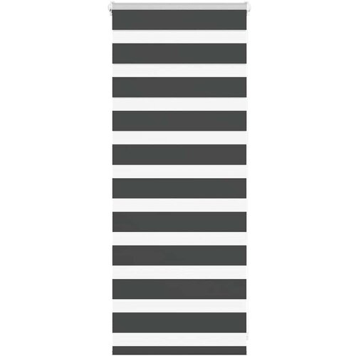 vidaXL Zavjesa zebra crna 65x100 cm širina tkanine 60,9 cm poliester Cijene