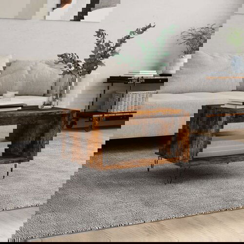 vidaXL Klubska mizica dimljeni hrast 60x50x40 cm inženirski les Cene