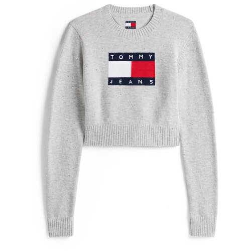 Tommy Jeans Pulover mornarska / svetlo siva / rdeča / bela Cene