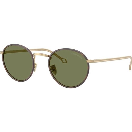 Giorgio Armani Naočare za sunce AR 6163J 30022A Cene