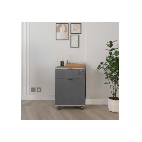 Hanah home Komoda Rkm-311-Ax-1, 41x61x41 cm, Antracit Cene