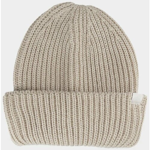 Kesi Men's winter hat 4F Light brown Slike