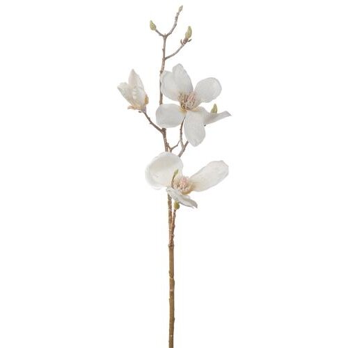  MAGNOLIJA 80CM BIJELA/CRVENA 50780 Cijene