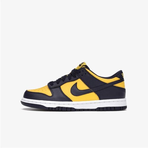 Nike patike za dečake dunk low bg CW1590-700 Slike