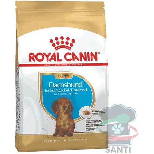 Royal Canin Breed Dachshund Puppy - 1,5 kg Slike