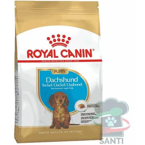 Royal Canin Breed Dachshund Puppy - 1,5 kg