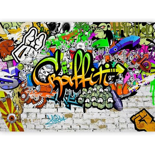  Foto tapeta - Graffiti on the Wall 450x315 Premium Cene