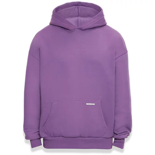 Dropsize Sweater majica 'Bazix Republiq' purpurna / srebro