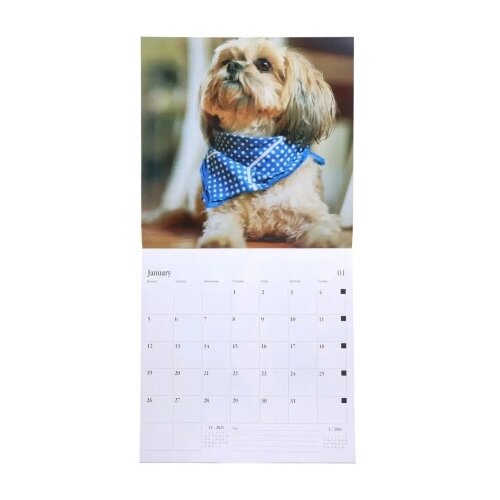 Biro time yearly 30 zidni kalendar 30x30cm 14 lista pas ( 490043 ) Slike