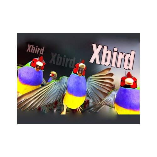  Xbird Steam Key GLOBAL Cene