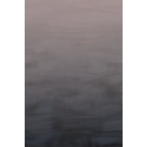 Decoprint Wallcoverings Mural Tapeta Onirique Sublime (4 boje) Cijene