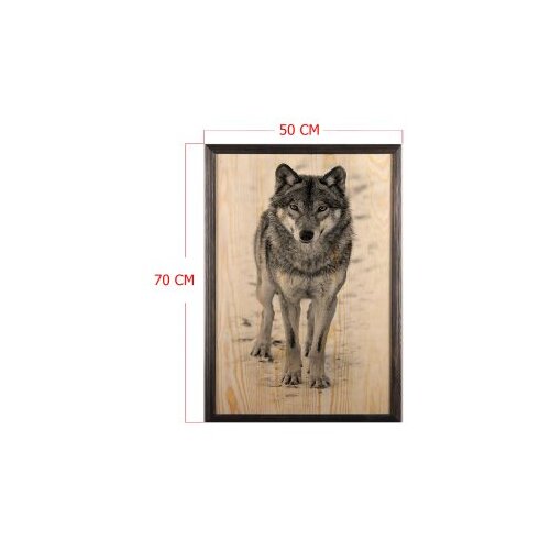 Wallity slika wolf, 50 x 70 cm Cene