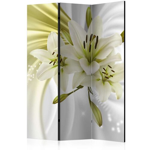  Paravan u 3 dijela - Green Captivation [Room Dividers] 135x172 Cijene