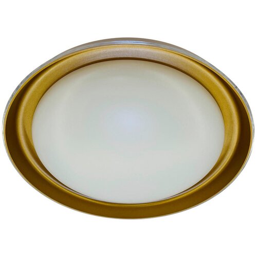 Lesnina XXXL Plafonjera Kora 24 W 2600 lm 4000K 43 cm zlatna Cene