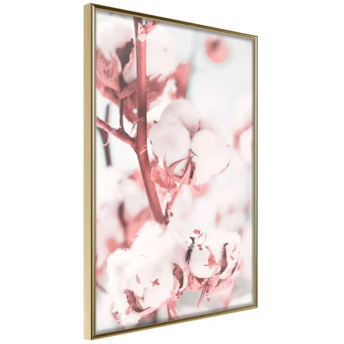  Poster - Cotton Flowers 20x30