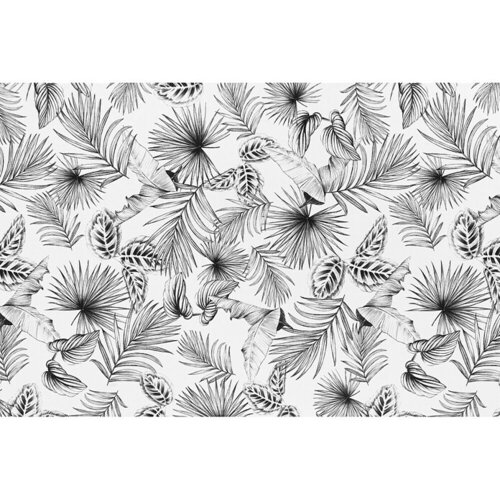 D-C-Fix Static Steklena folija Botanicals (150 x 45 cm, Prosojno, Statično lepilo) Cene
