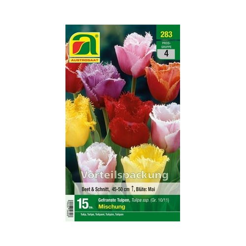 AUSTROSAAT Tulipani "Fringed Mix" Cene